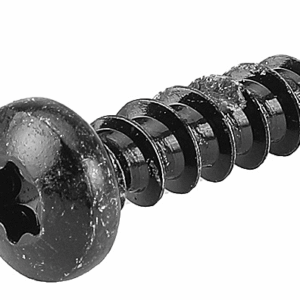 Pan Head Torx Screw 1″X1/2″
Precedent G&E (2004-UP)102296020
